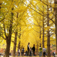 Illustration for article titled 48 Photos Of Autumn Around The World
